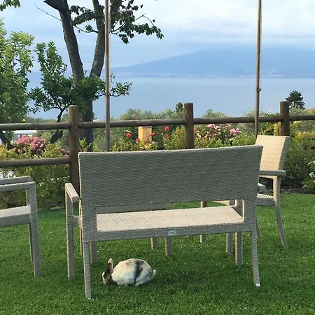 Casale Antonietta Bed & Breakfast